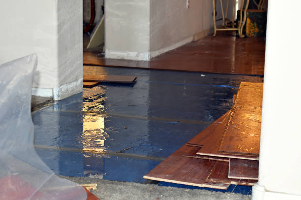 Professional Water Damage Restoration technician working in Evansport, OH